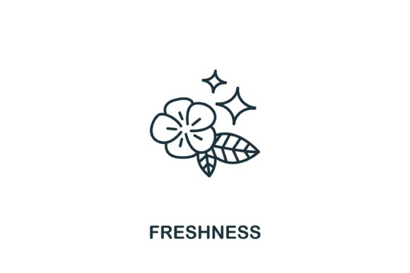 The Essence of Freshness in Modern Design and Wellness